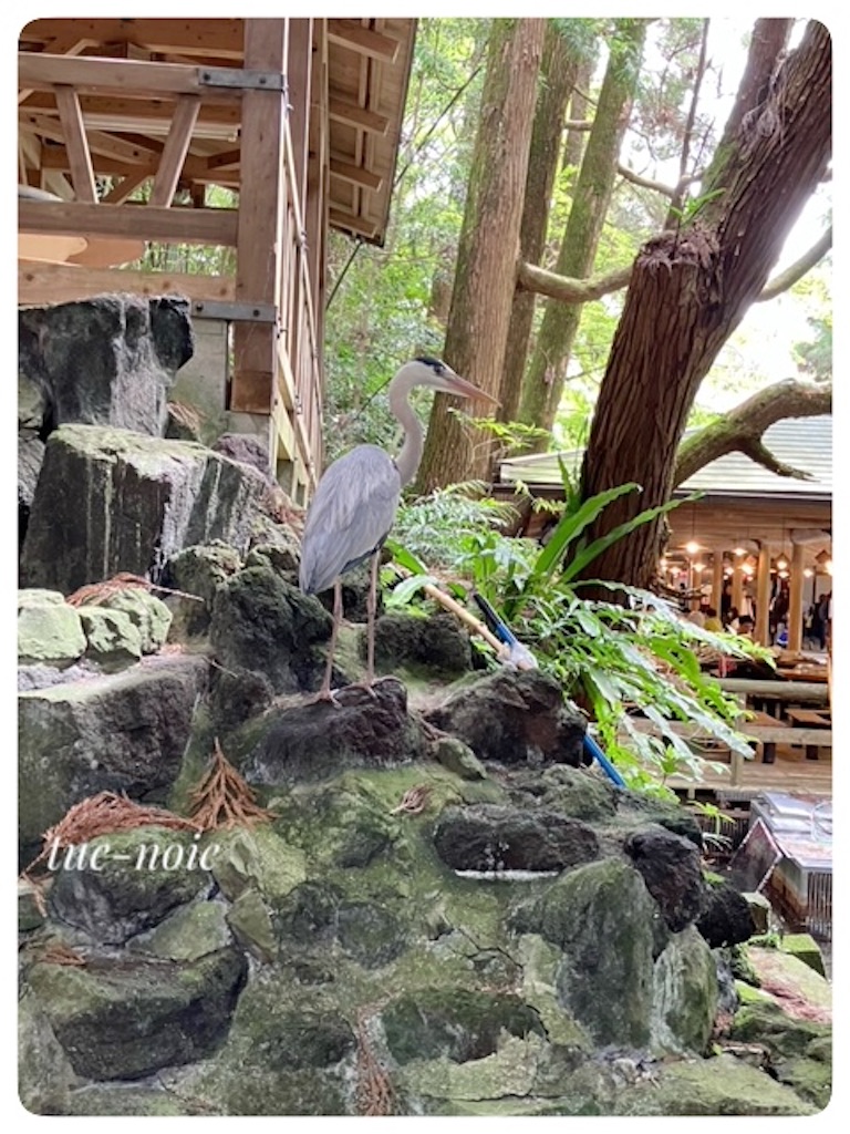 f:id:tueko:20240905222929j:image