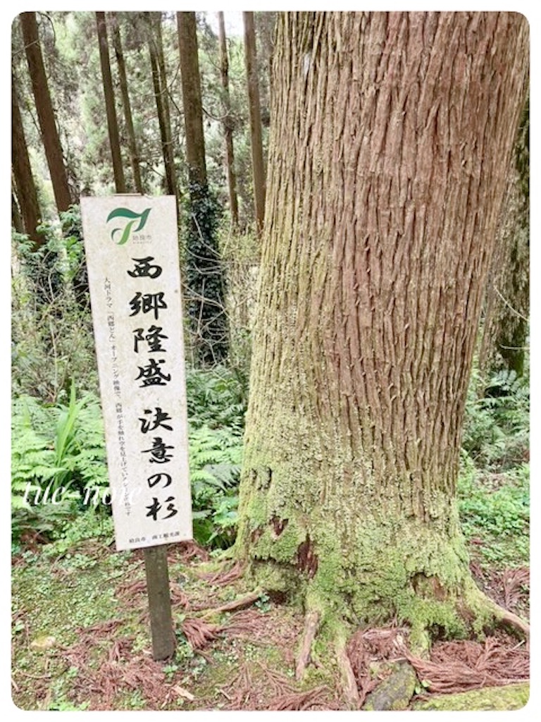 f:id:tueko:20240920223122j:image