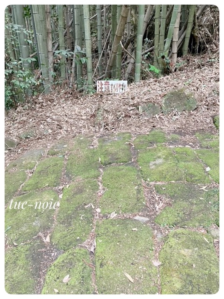 f:id:tueko:20240920223158j:image