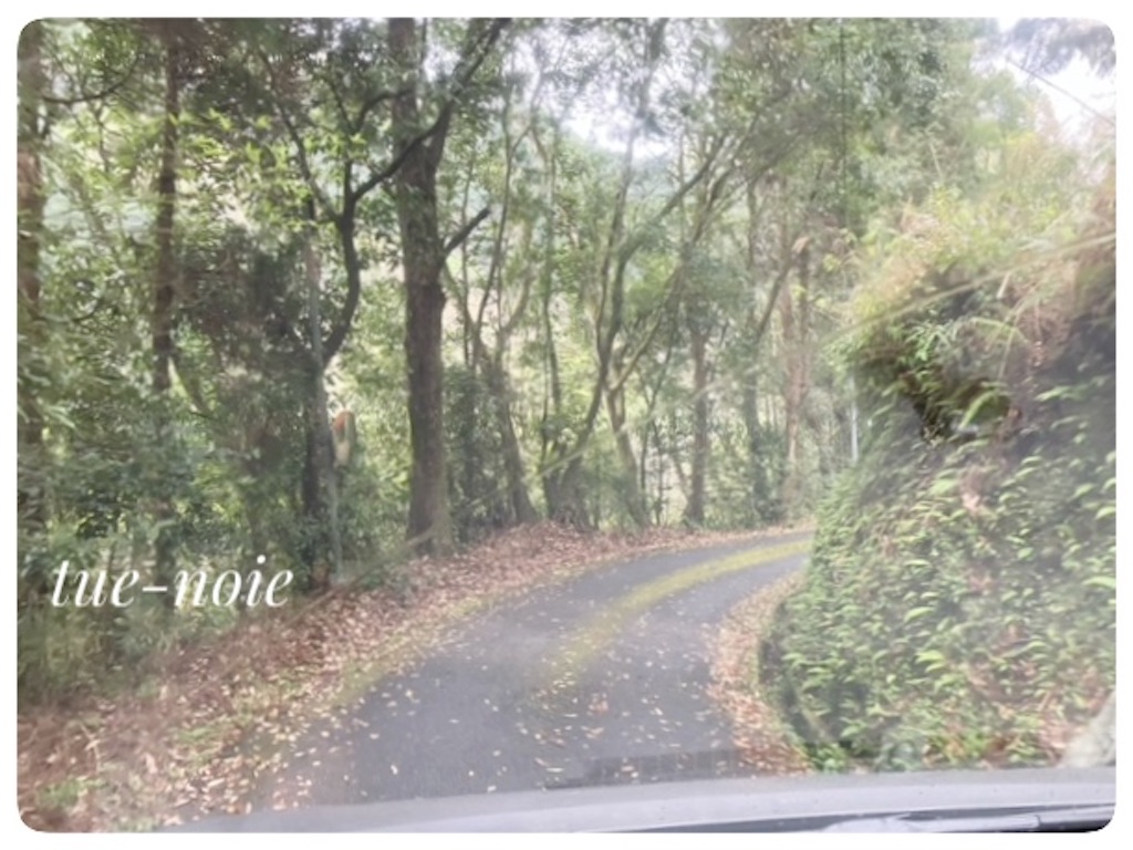 f:id:tueko:20241026000749j:image f:id:tueko:20241026000749j:image