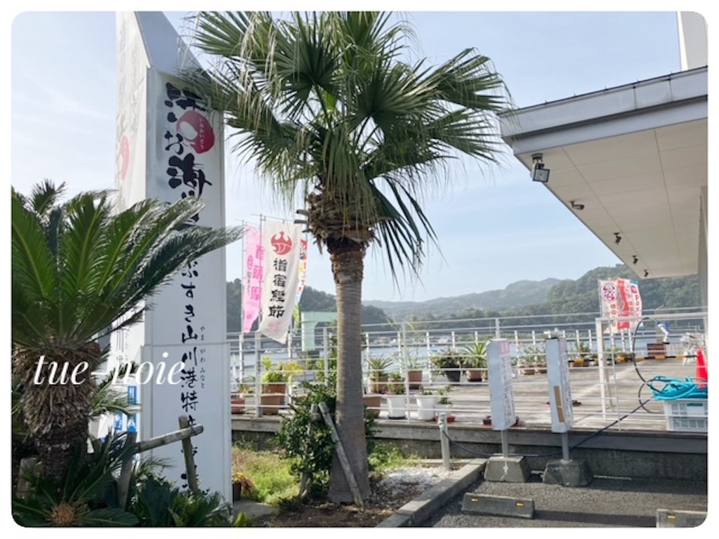 f:id:tueko:20241104095157j:image