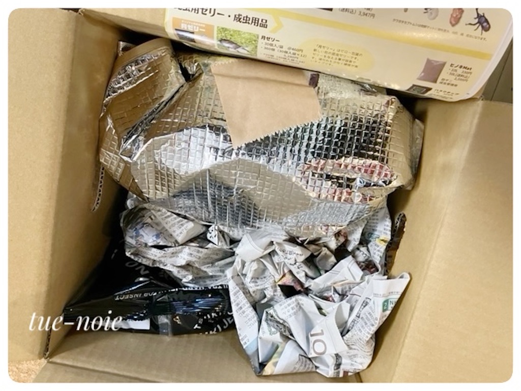 f:id:tueko:20241222005442j:image