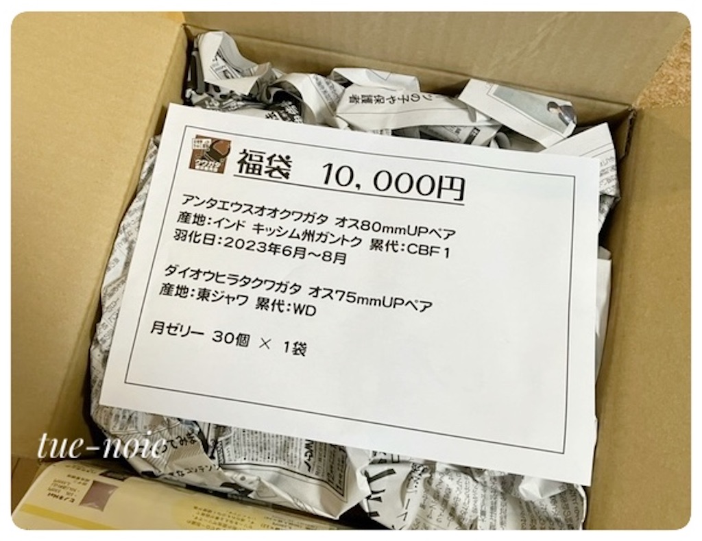 f:id:tueko:20241222005445j:image