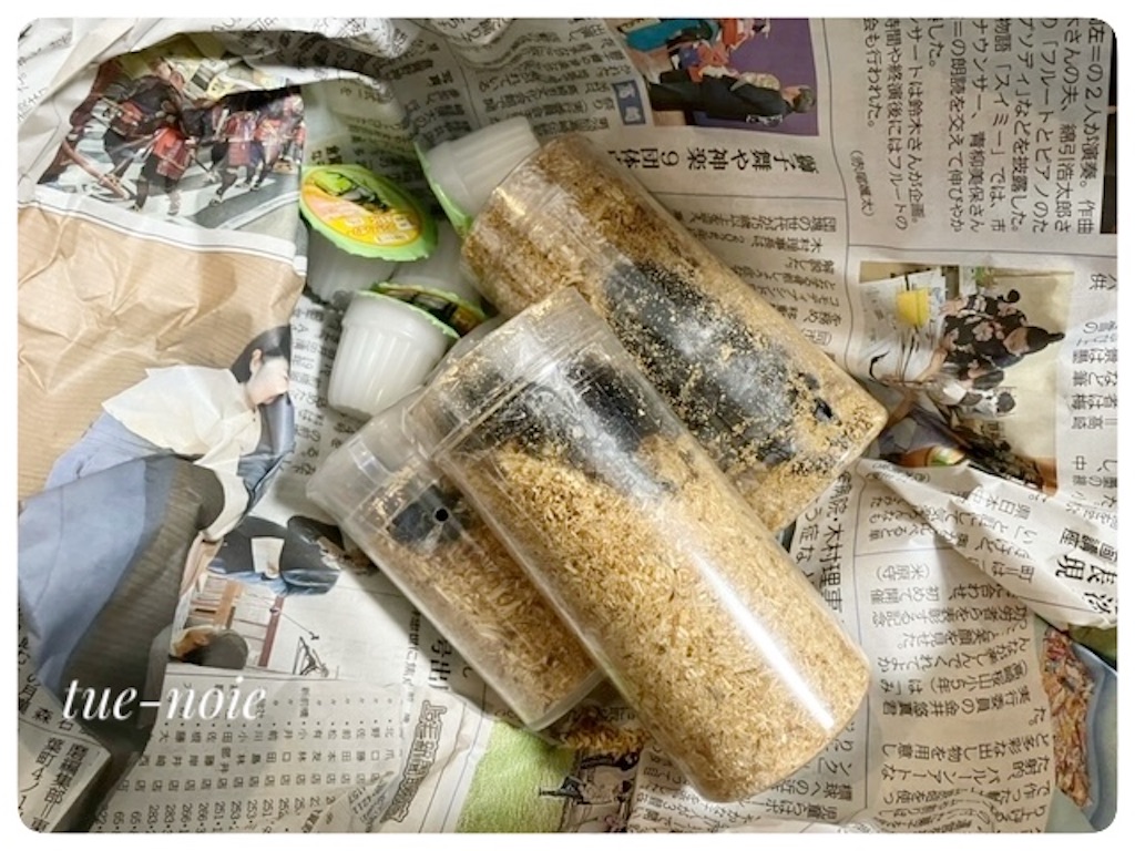 f:id:tueko:20241222005456j:image