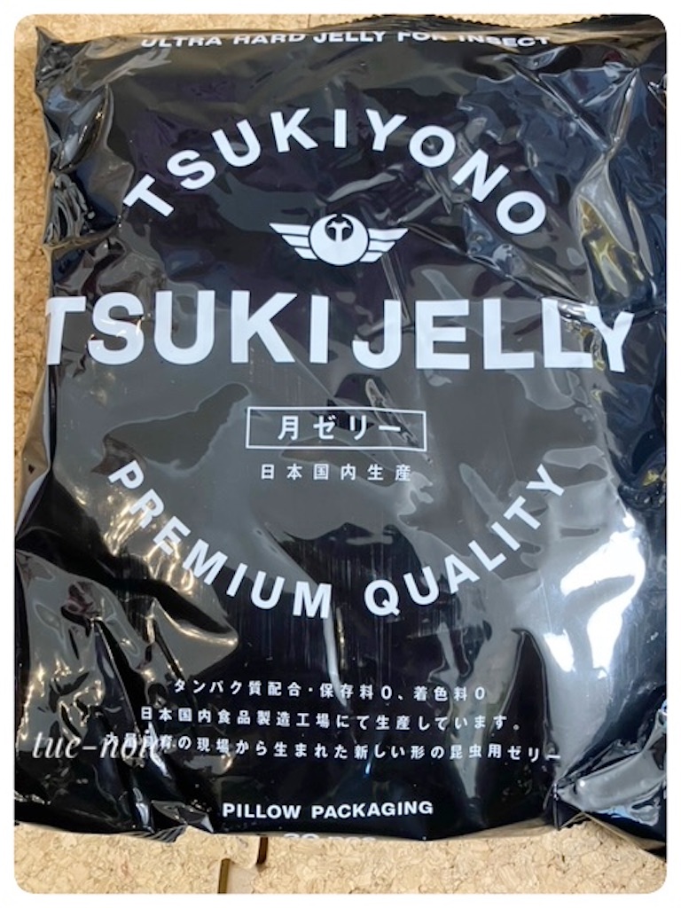 f:id:tueko:20241222005528j:image f:id:tueko:20241222005528j:image