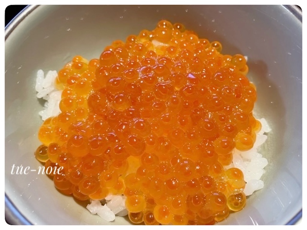 f:id:tueko:20250101223804j:image