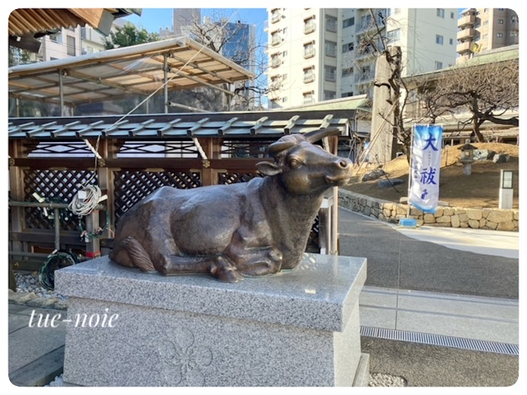 f:id:tueko:20250215075530j:image