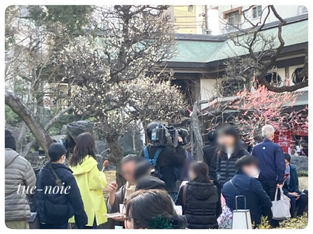 f:id:tueko:20250215230314j:image