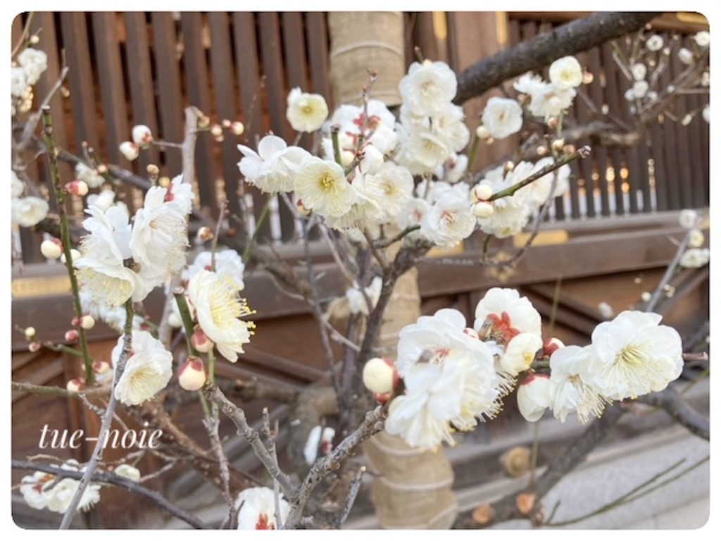 f:id:tueko:20250215230322j:image