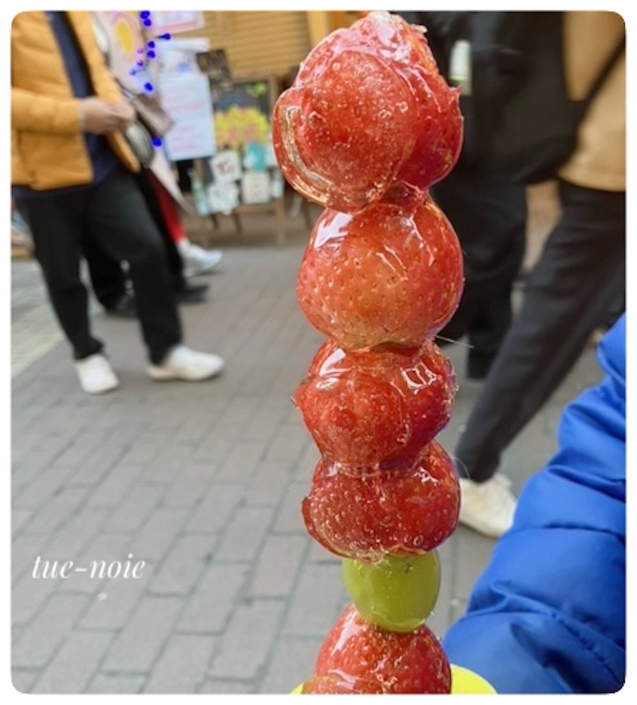 f:id:tueko:20250215231423j:image