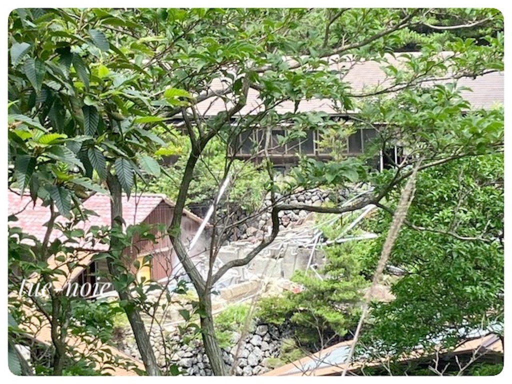 f:id:tueko:20250531224329j:image