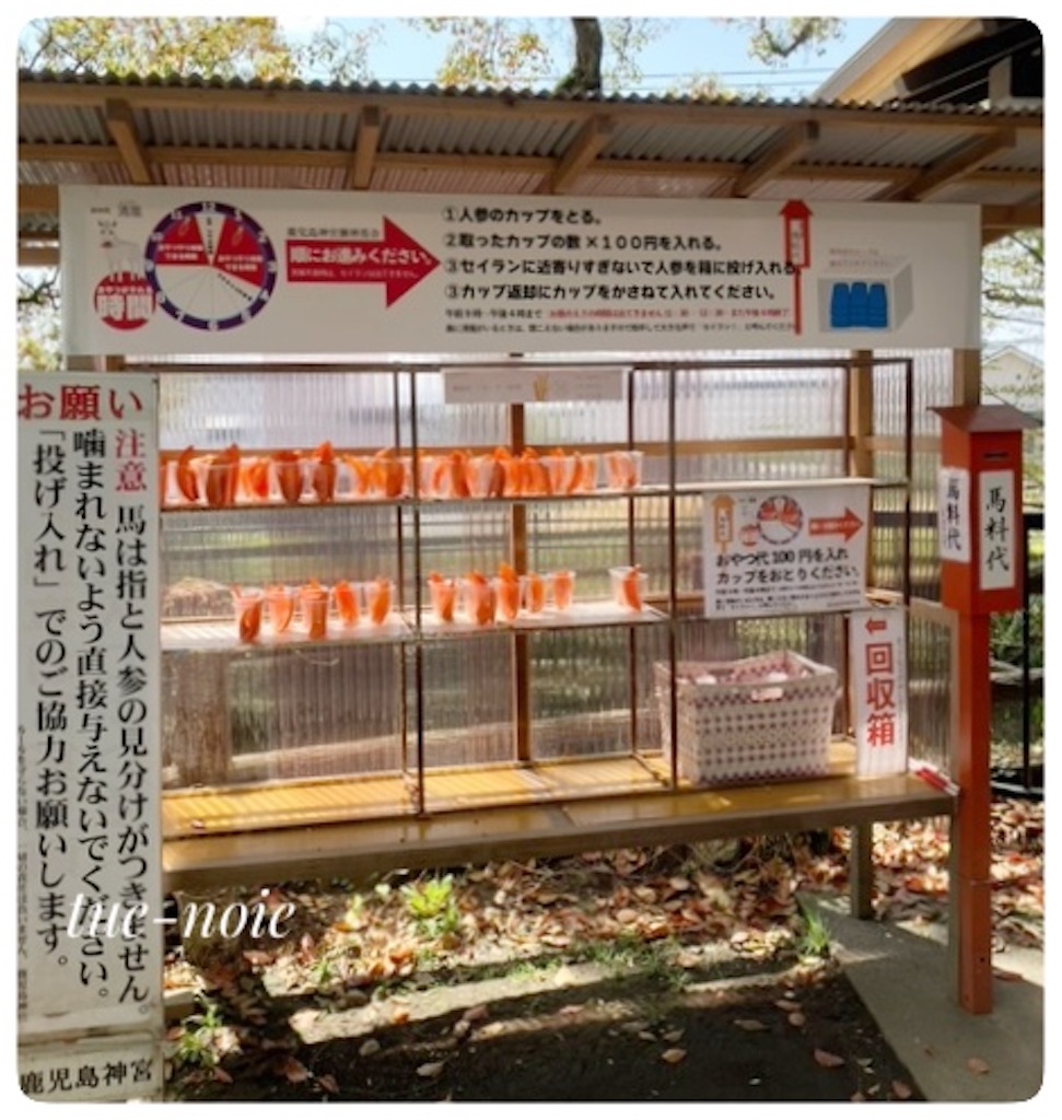 f:id:tueko:20250812201530j:image