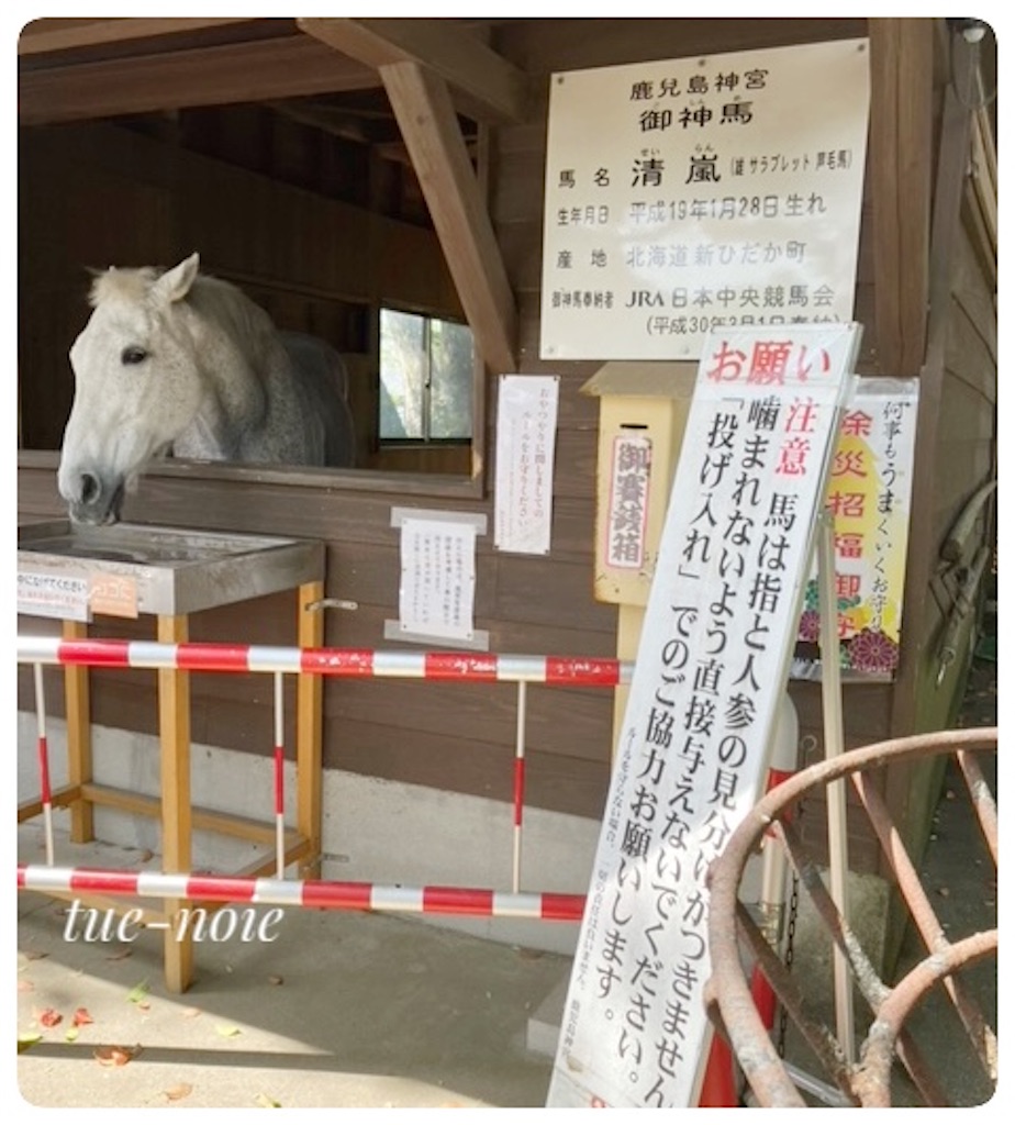 f:id:tueko:20250812201534j:image