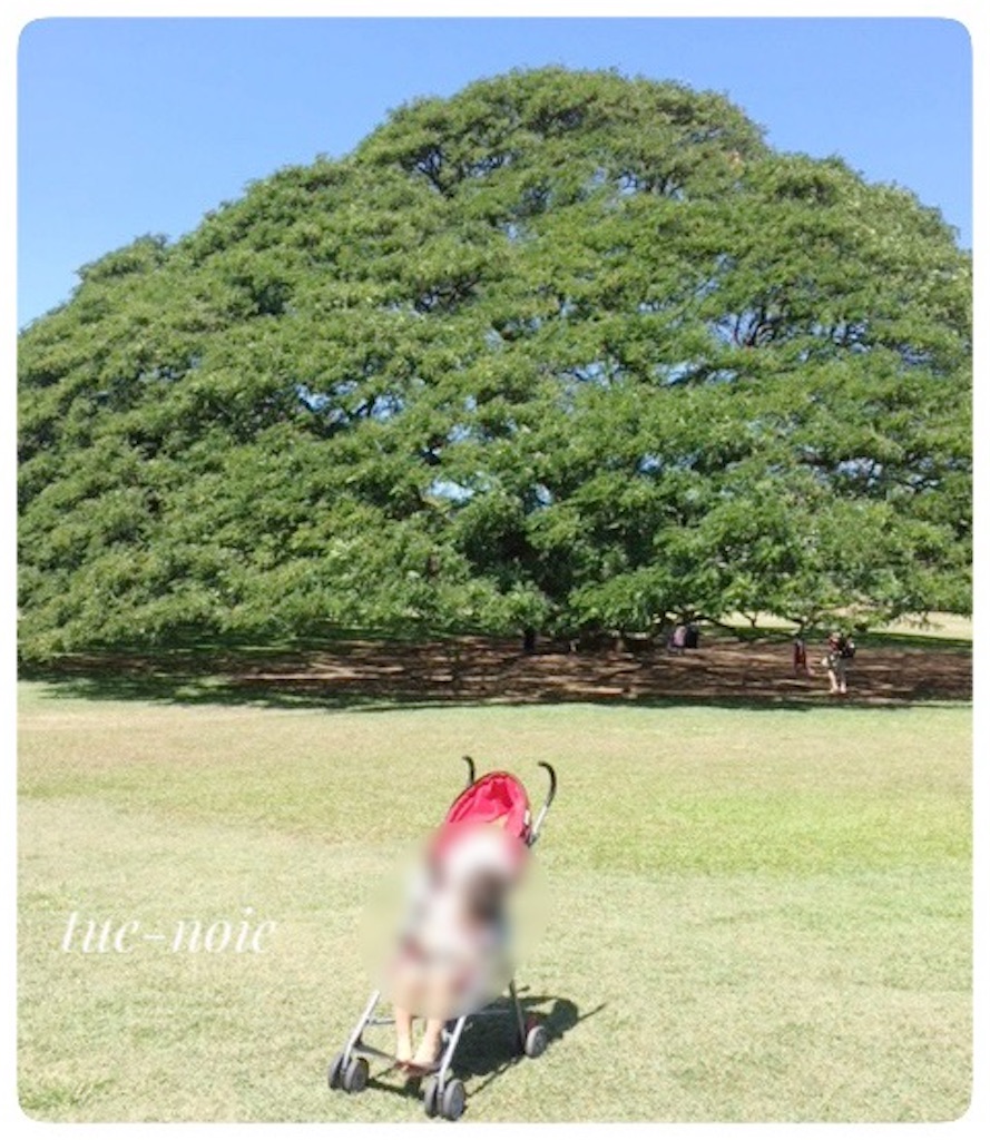 f:id:tueko:20250823073521j:image