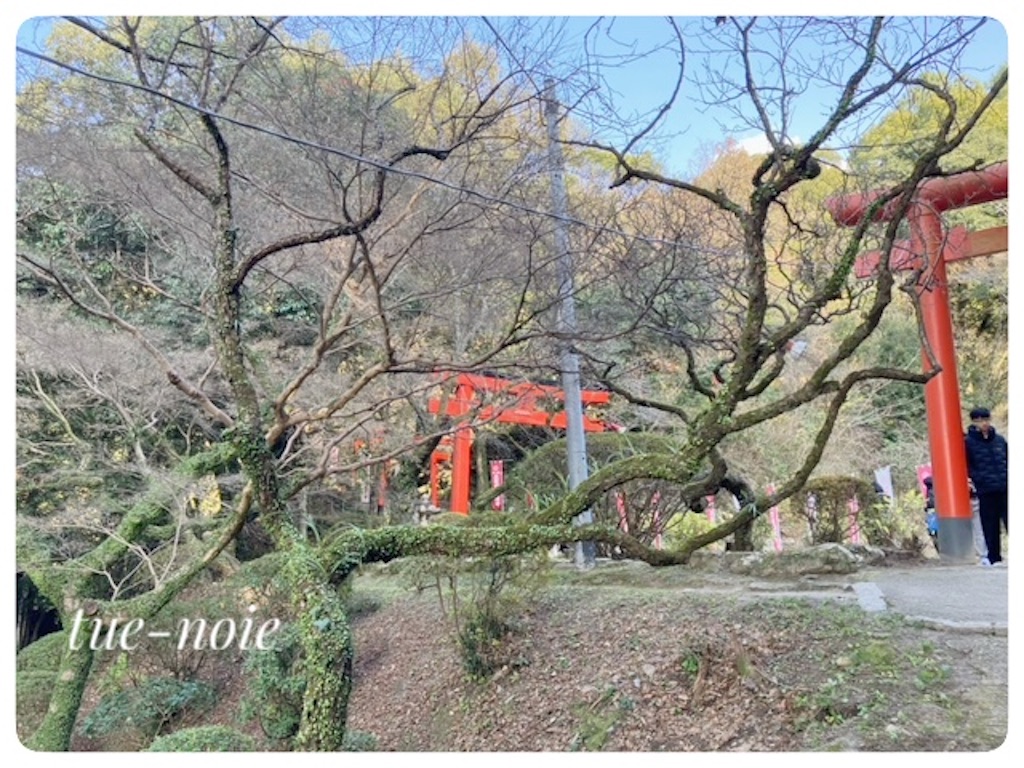 f:id:tueko:20260127214256j:image
