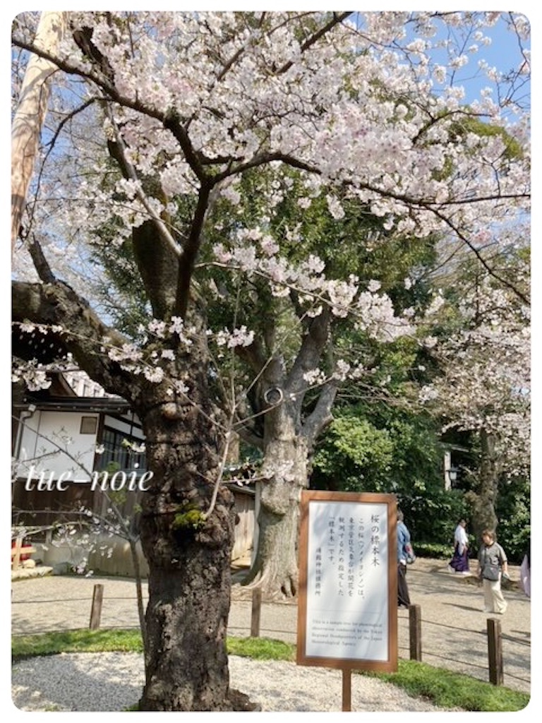 f:id:tueko:20260329213745j:image
