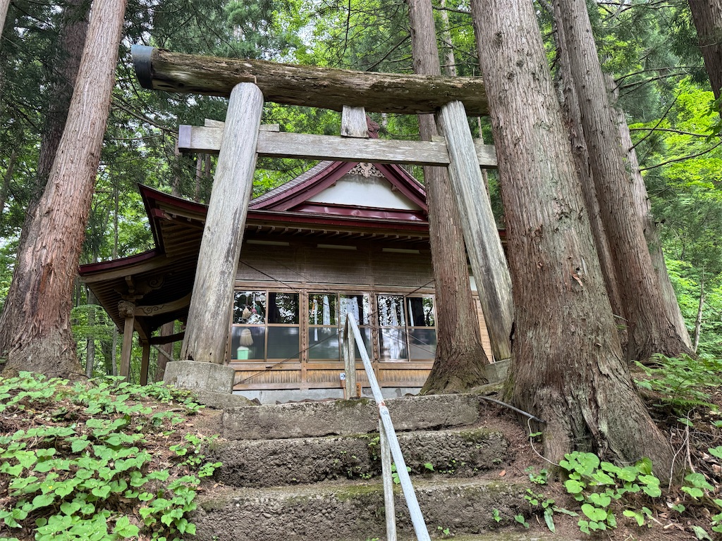 f:id:tugarusyu:20250614193839j:image f:id:tugarusyu:20250614193839j:image