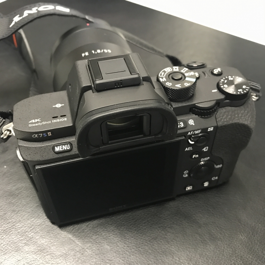 今更SONYの夜に強い、動画に強い一眼ミラーレスカメラ『α7Sii