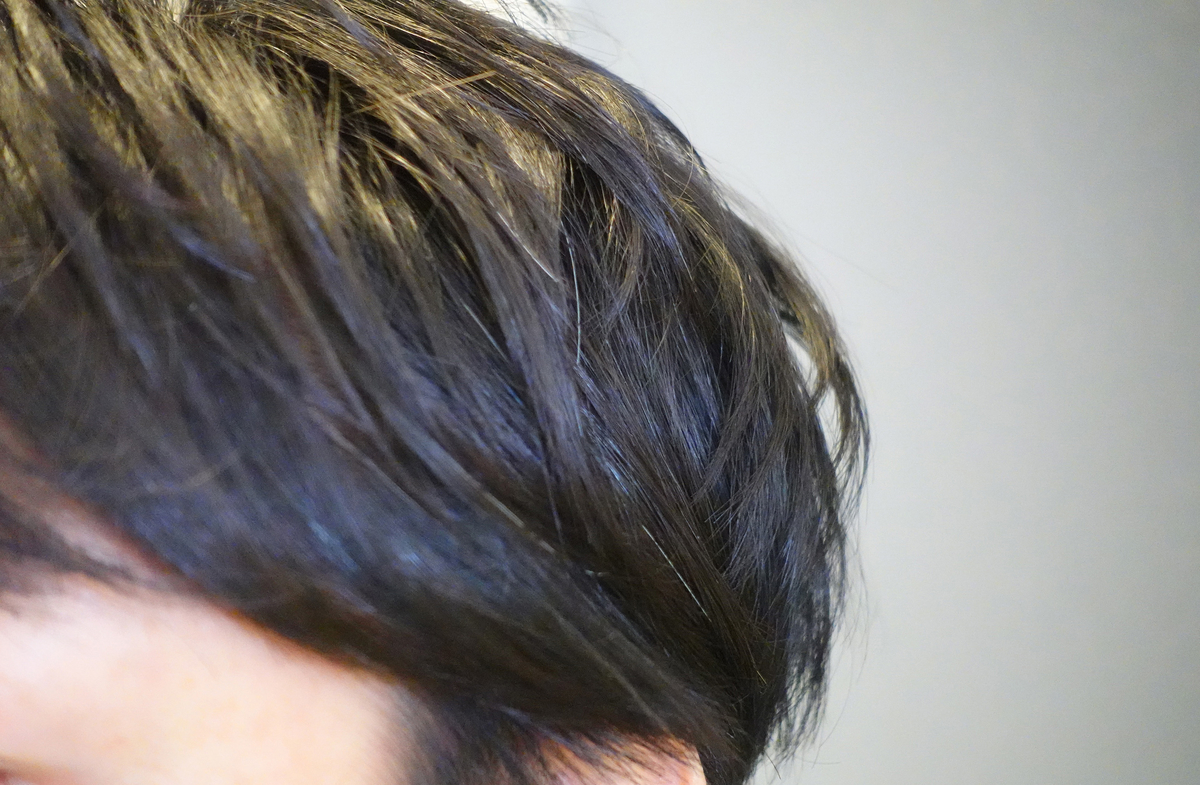 f:id:tugune:20190420224131j:plain