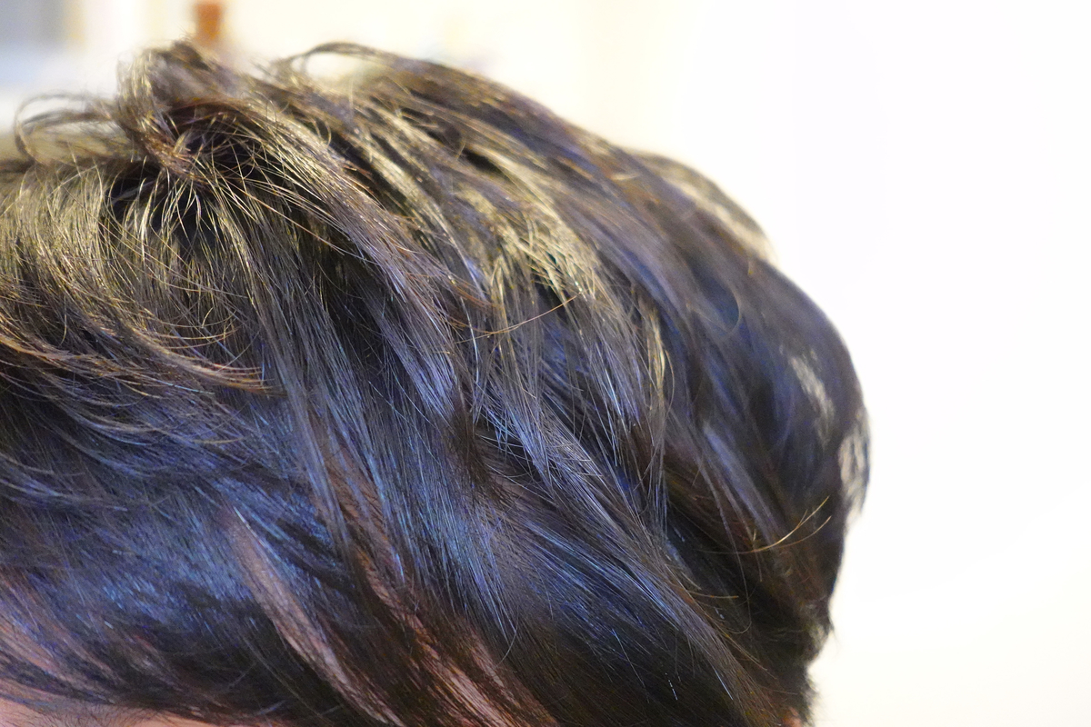 f:id:tugune:20190420224232j:plain