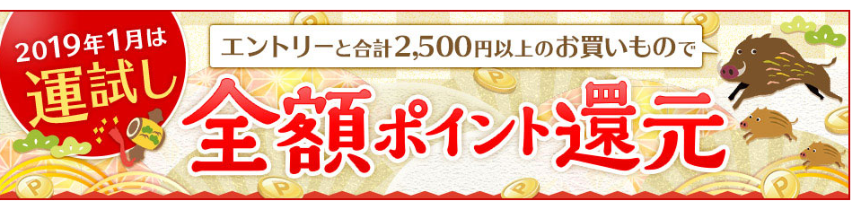 f:id:tuieoyuc23:20190106200036p:plain f:id:tuieoyuc23:20190106200036p:plain