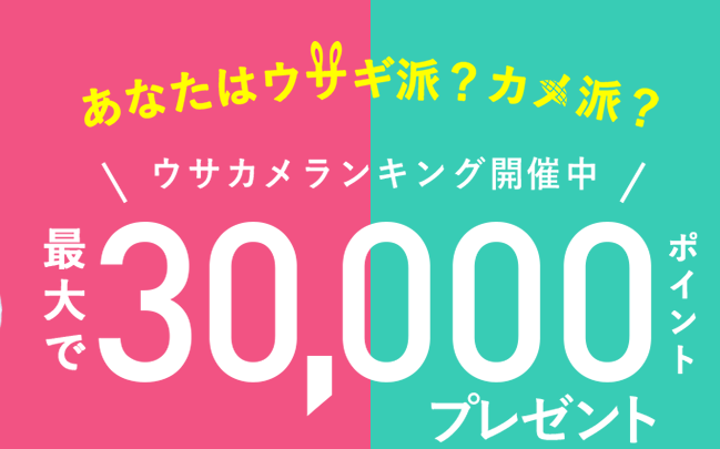 ハピタスであなたはウサギ派 カメ派 ランキング開催中 最大30000ptプレゼント お小遣いサイトの危険性をチェック 初心者のリスク
