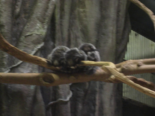 f:id:tuisumi:20111018222655j:image