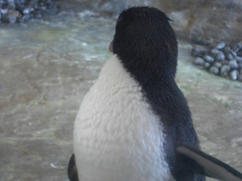 f:id:tuisumi:20111229213937j:image