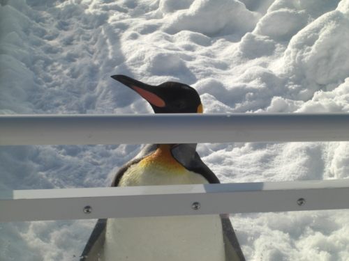 f:id:tuisumi:20111229213938j:image