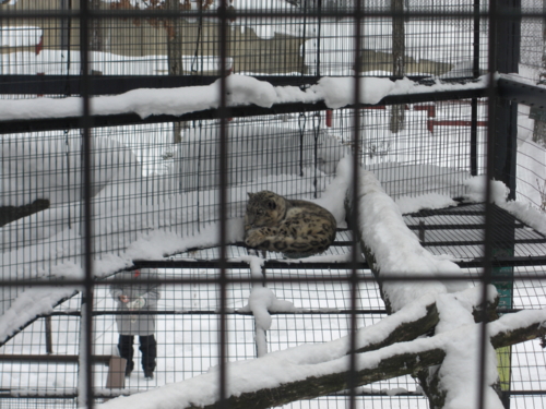 f:id:tuisumi:20111229213941j:image