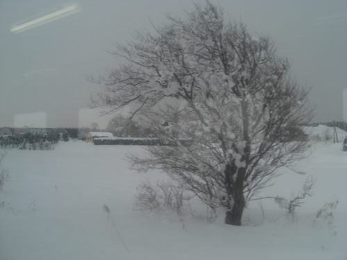 f:id:tuisumi:20111229213947j:image
