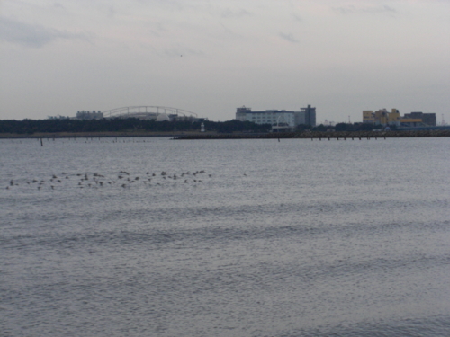 f:id:tuisumi:20120107000529j:image