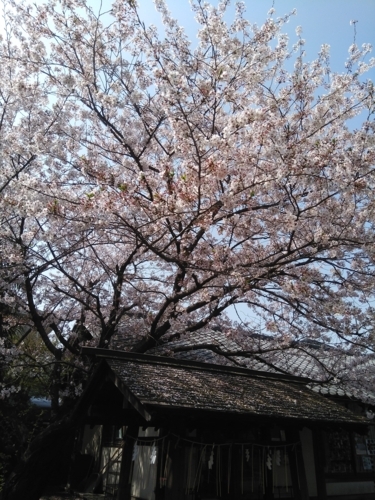 f:id:tuisumi:20180401141857j:plain