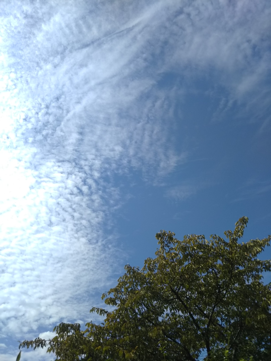 f:id:tuiterujan:20211007004934j:plain