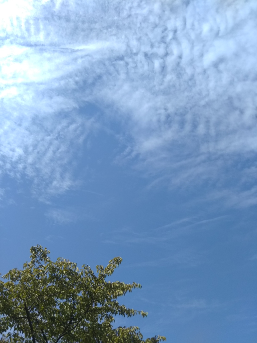 f:id:tuiterujan:20211010161358j:plain