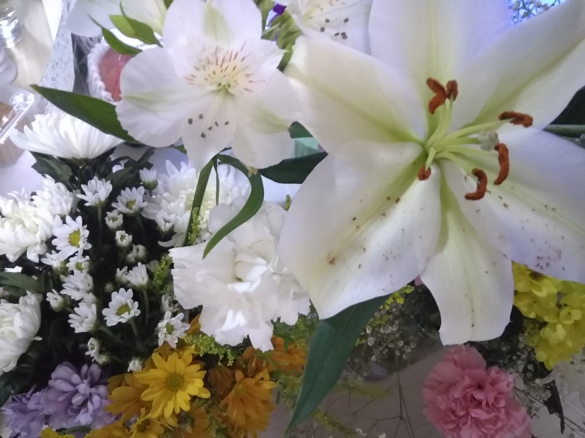 f:id:tuiterujan:20211123162459j:plain