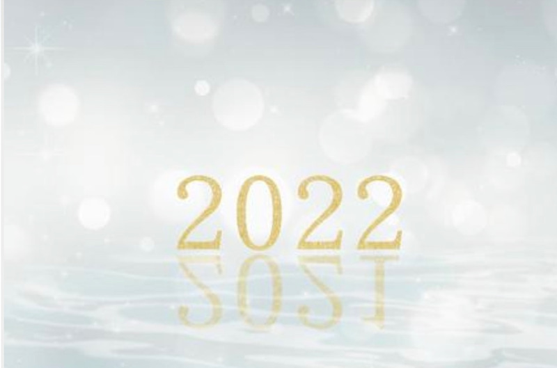 f:id:tuiterujan:20220101000116j:plain