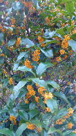 f:id:tuiterunaomi:20171011172723j:plain f:id:tuiterunaomi:20171011172723j:plain