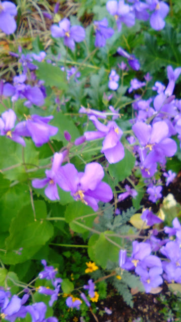 f:id:tuiterunaomi:20180412190102j:plain f:id:tuiterunaomi:20180412190102j:plain