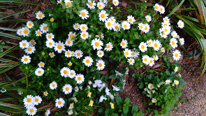 f:id:tuiterunaomi:20180505221522j:plain f:id:tuiterunaomi:20180505221522j:plain