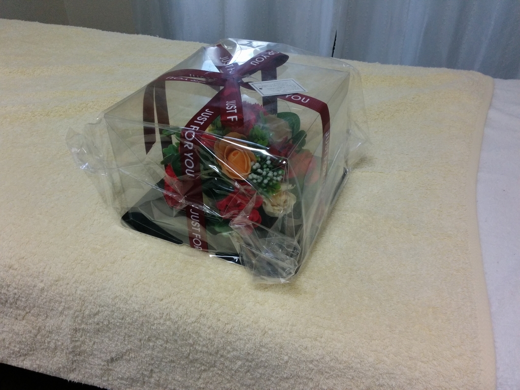 f:id:tuiterunaomi:20190303231834j:plain