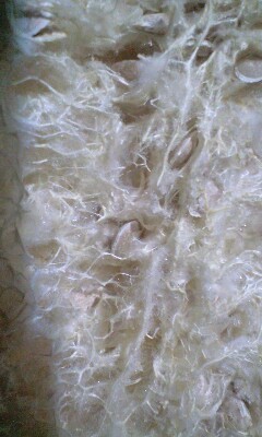 f:id:tujibee:20130106172522j:image:left