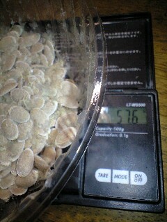 f:id:tujibee:20130106175310j:image:left