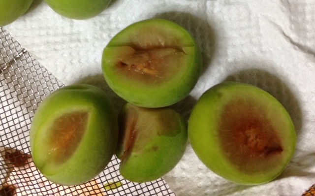 f:id:tujibee:20140625200559j:image:w280 f:id:tujibee:20140625200559j:image:w280