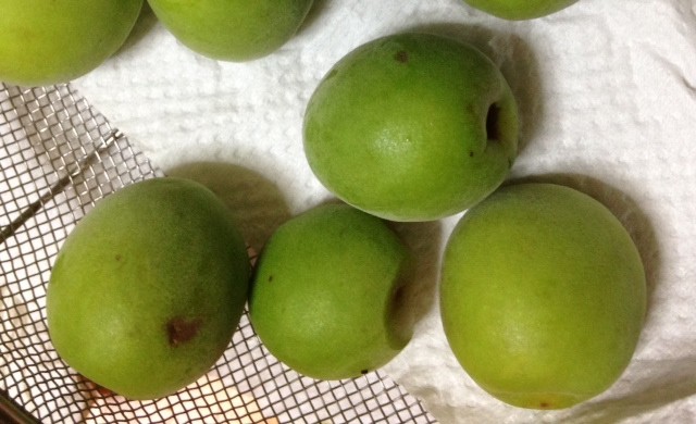 f:id:tujibee:20140625200628j:image:w280 f:id:tujibee:20140625200628j:image:w280