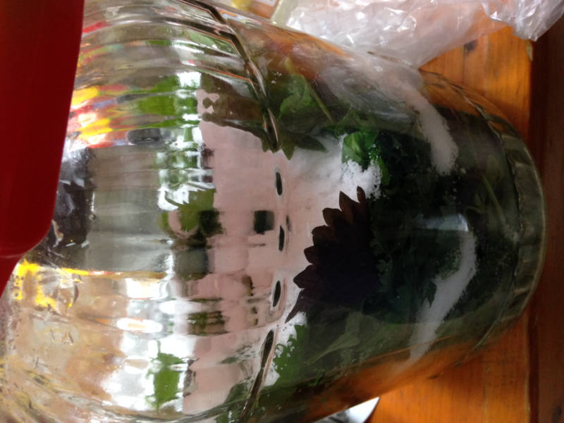 f:id:tujibee:20140827234056p:image:w360