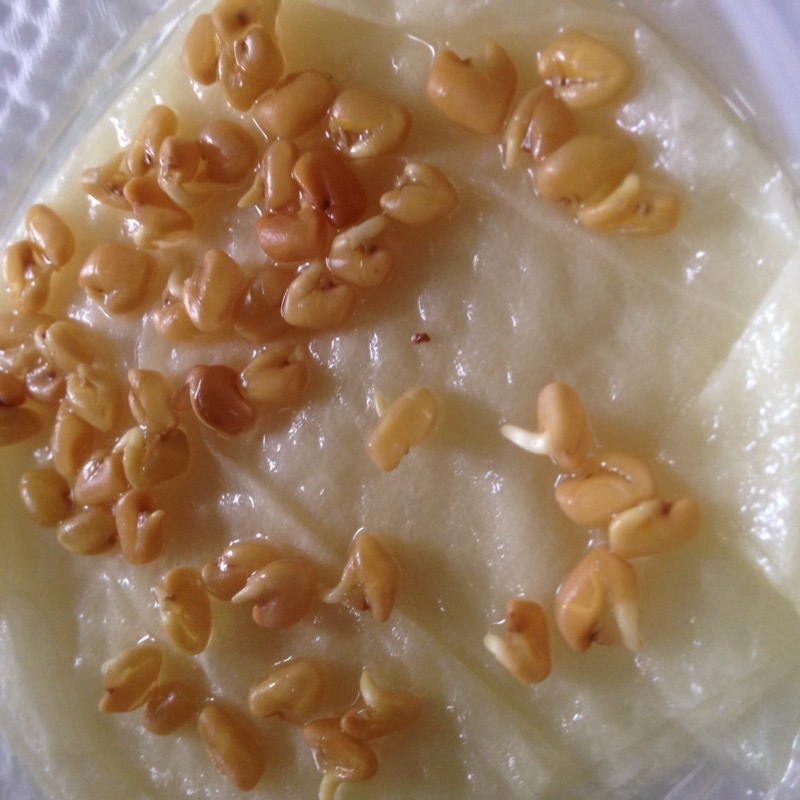 f:id:tujibee:20150408141220j:image