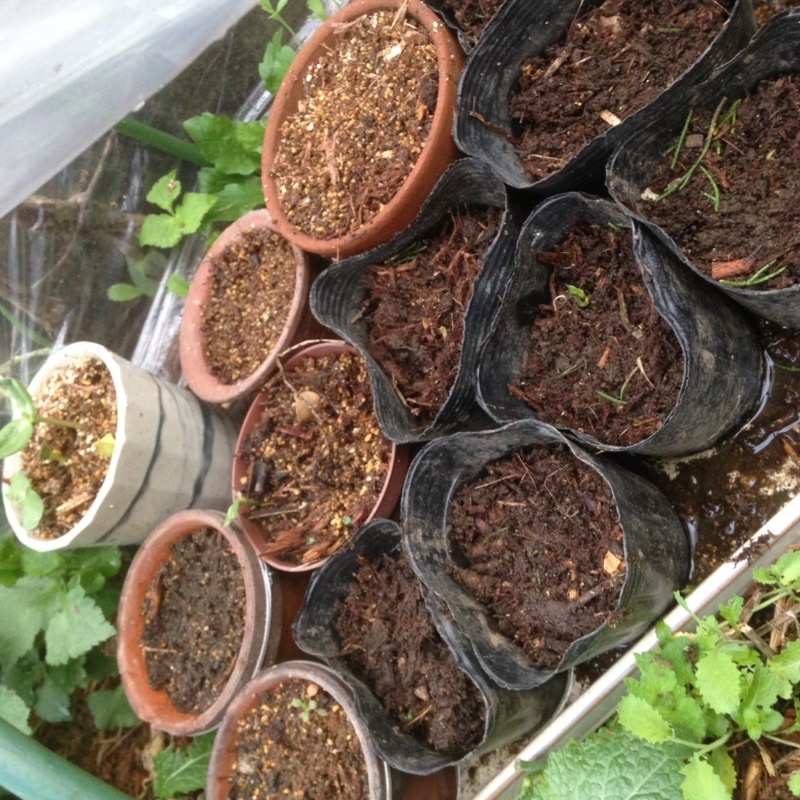 f:id:tujibee:20150409174336j:image