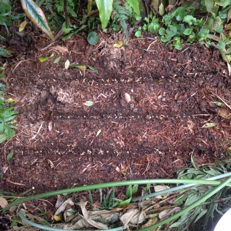 f:id:tujibee:20151011153250j:image