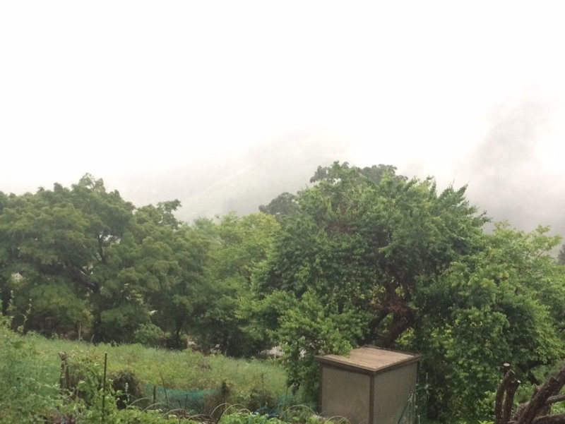 f:id:tujibee:20170620190415j:image:w200:left
